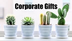 Cacti and Succulents gifts