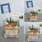 4.5" Cacti and Succulent Arrangement