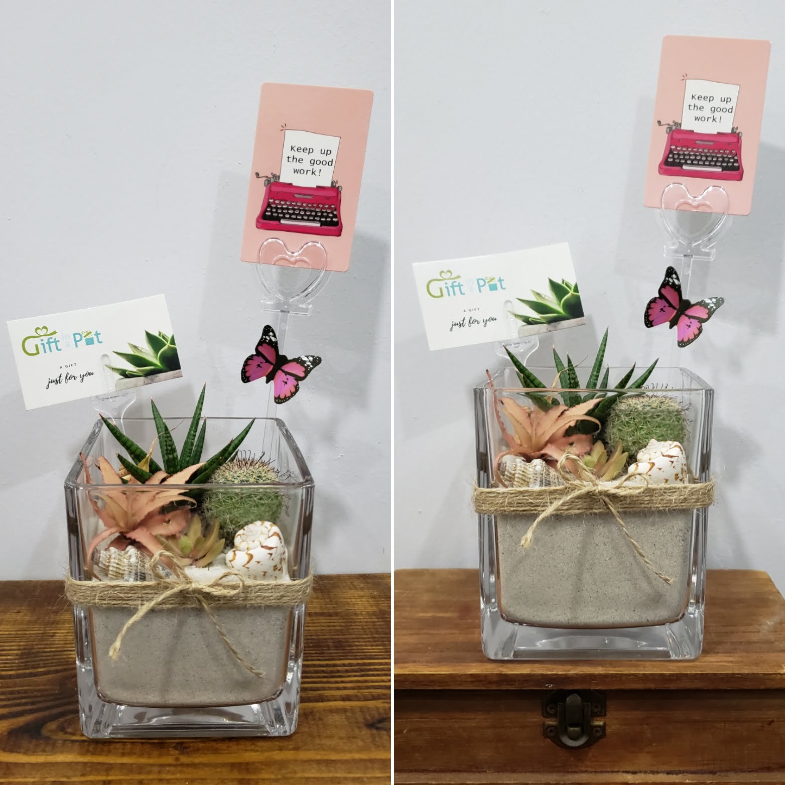 4.5" Cacti and Succulent Arrangement - Image 2