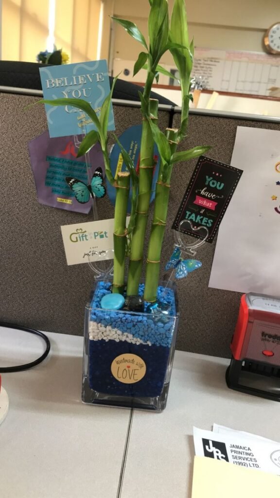 Image #1 from Samoya P.