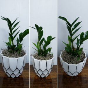 4.5" Zz Plant Round Pot