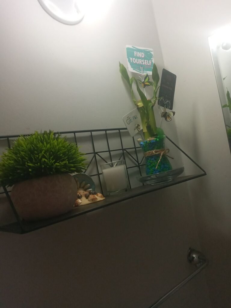 Image #2 from Shanika M.