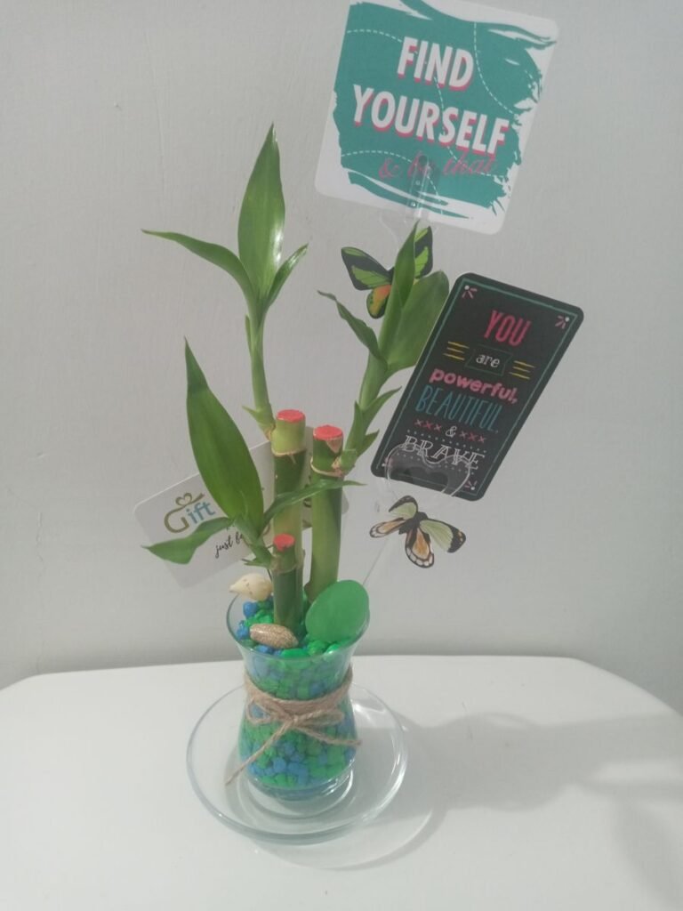 Image #1 from Shanika M.