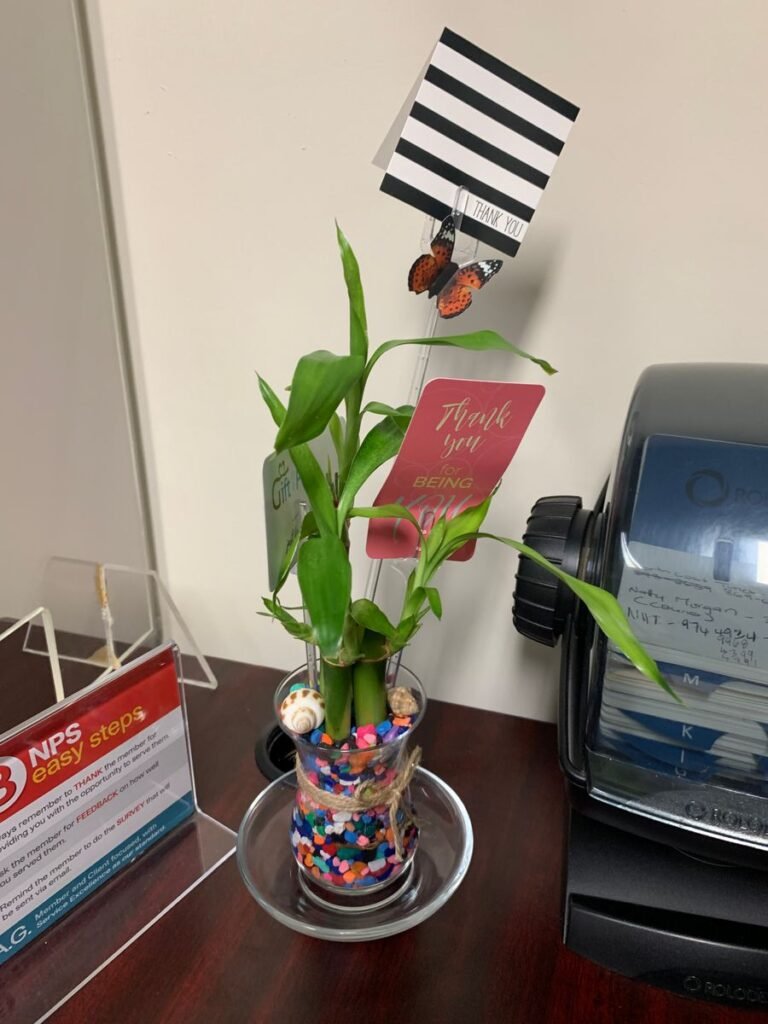 Image #1 from Marsean Mullings