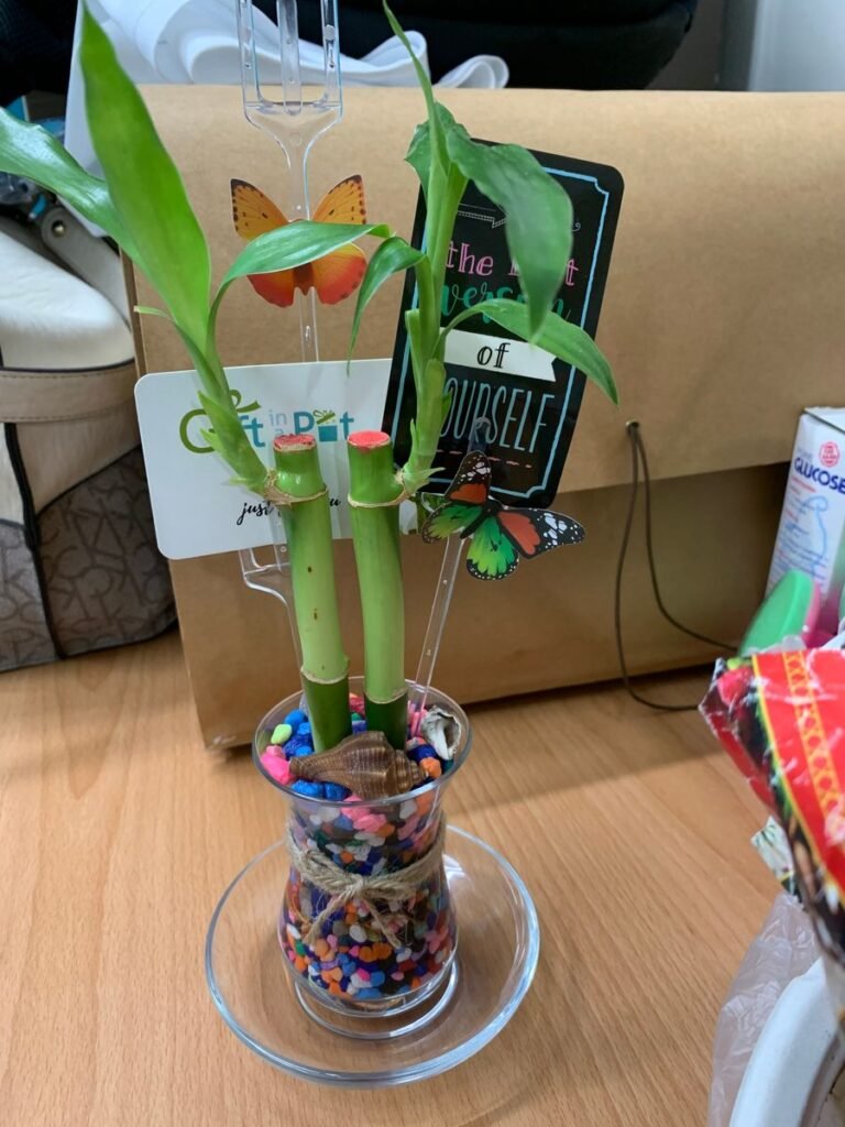 Image #1 from Marsean Mullings