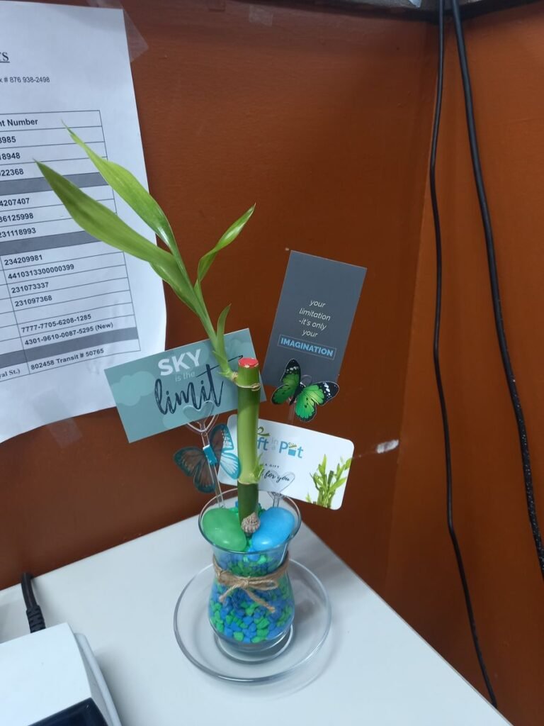 Image #1 from Sandria W.