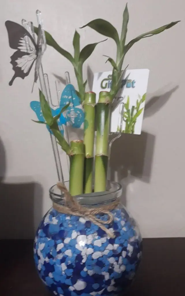 Image #1 from Meleseia Hawthorn