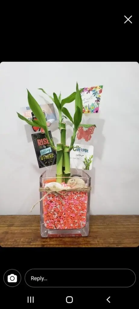 Image #1 from Jonell B.